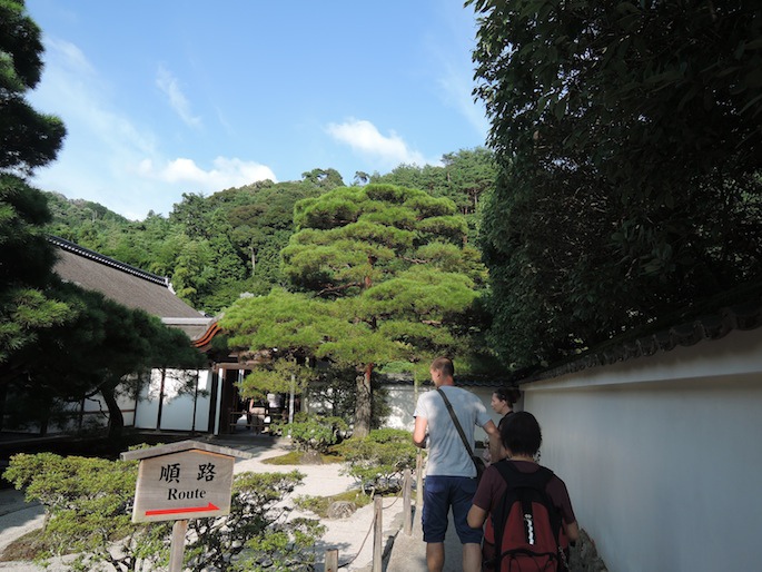 DSCN3185 DSCN3185