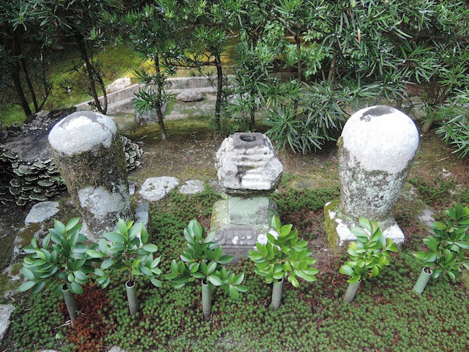 DSCN3218 DSCN3218