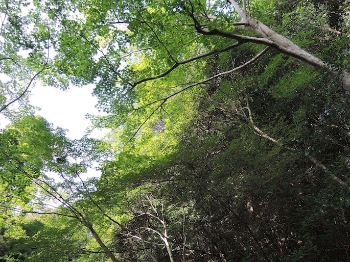 DSCN3224 DSCN3224