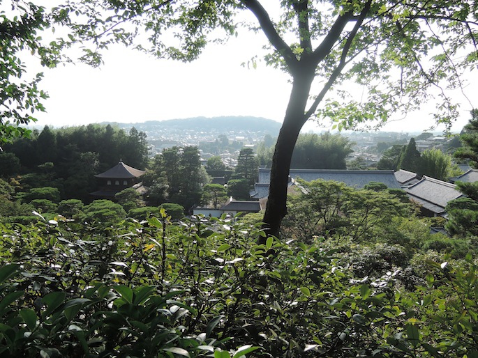 DSCN3226 DSCN3226