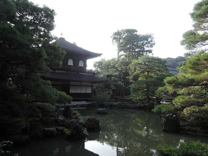 DSCN3246 DSCN3246
