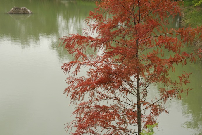 IMG_6288 IMG_6288