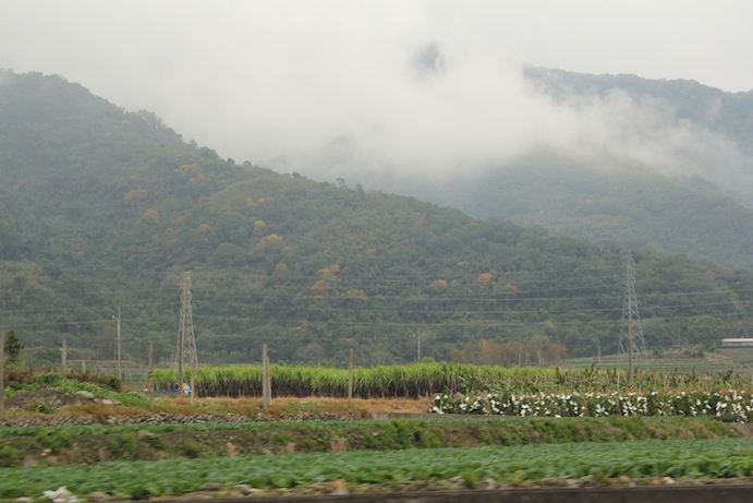 IMG_6605 IMG_6605