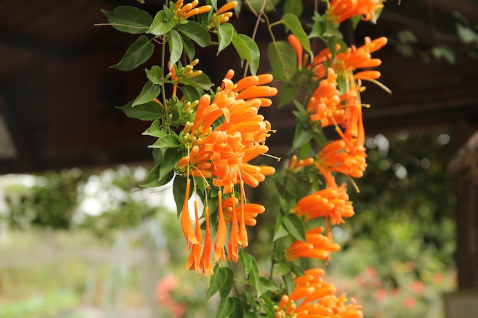 IMG_6620 IMG_6620