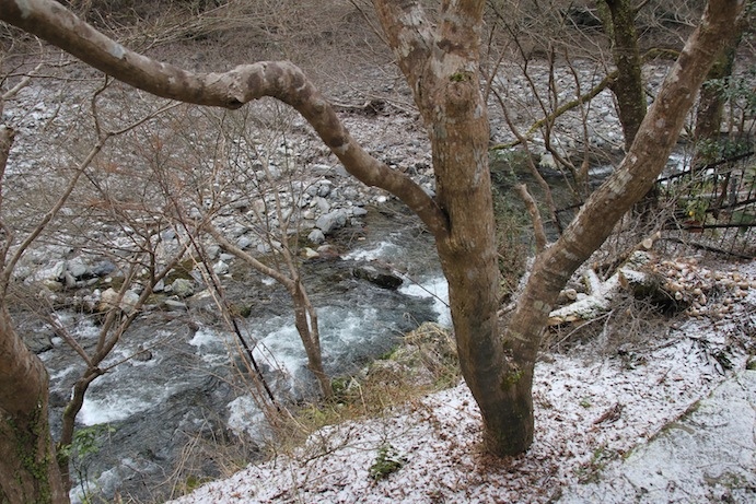 IMG_0032 IMG_0032