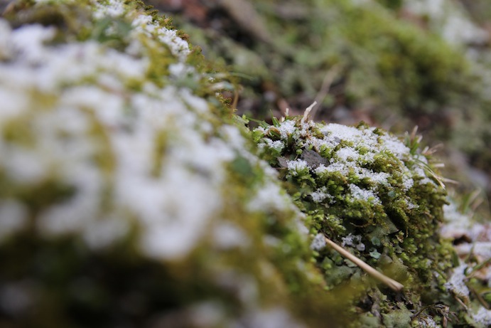 IMG_0054 IMG_0054