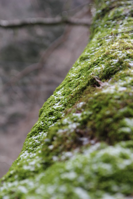 IMG_0079 IMG_0079