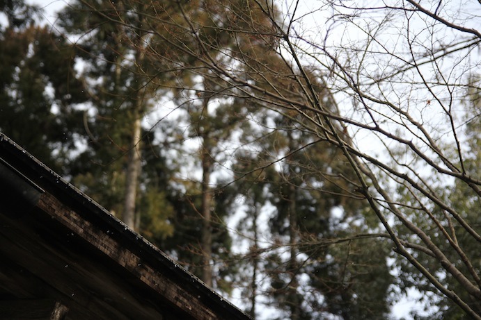 IMG_0170 IMG_0170