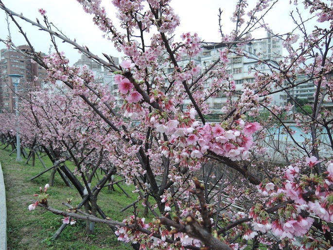 DSCN6711 DSCN6711