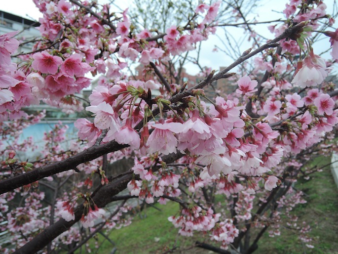 DSCN6744 DSCN6744