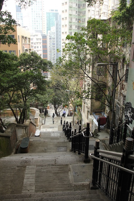 IMG_8496 IMG_8496