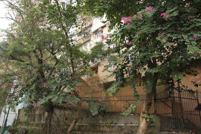 IMG_8503 IMG_8503