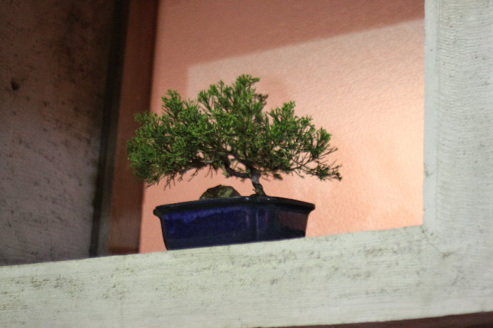IMG_0466 IMG_0466