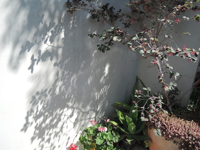 DSCN9563 DSCN9563