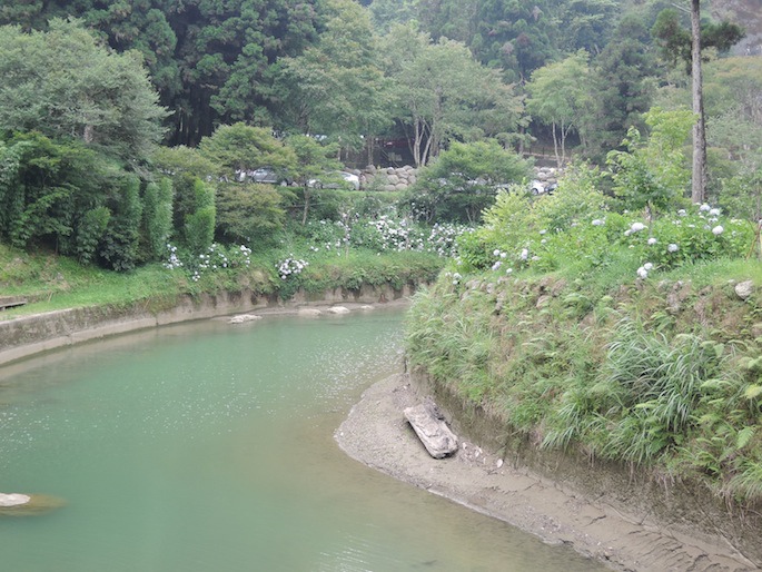 DSCN4228 DSCN4228