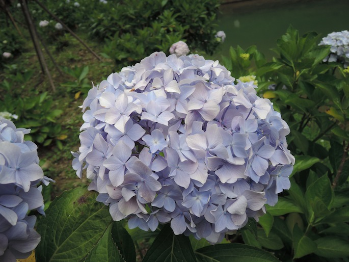 DSCN4234 DSCN4234