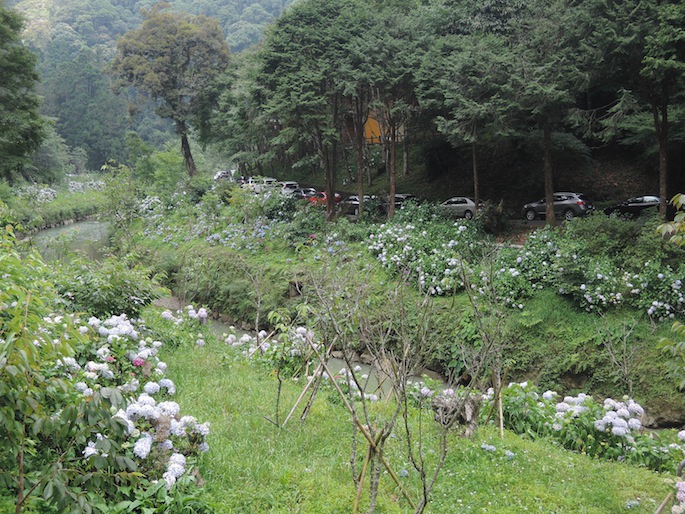 DSCN4256 DSCN4256