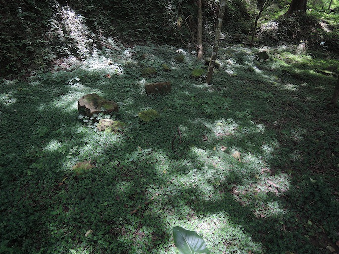 DSCN4269 DSCN4269
