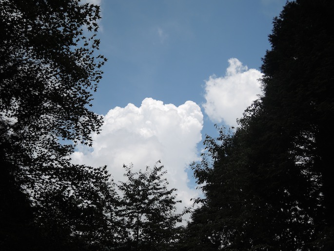 DSCN4272 DSCN4272