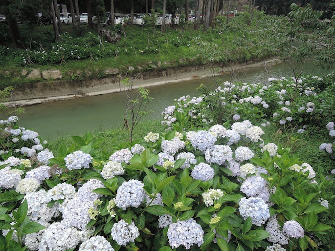 DSCN4374 DSCN4374