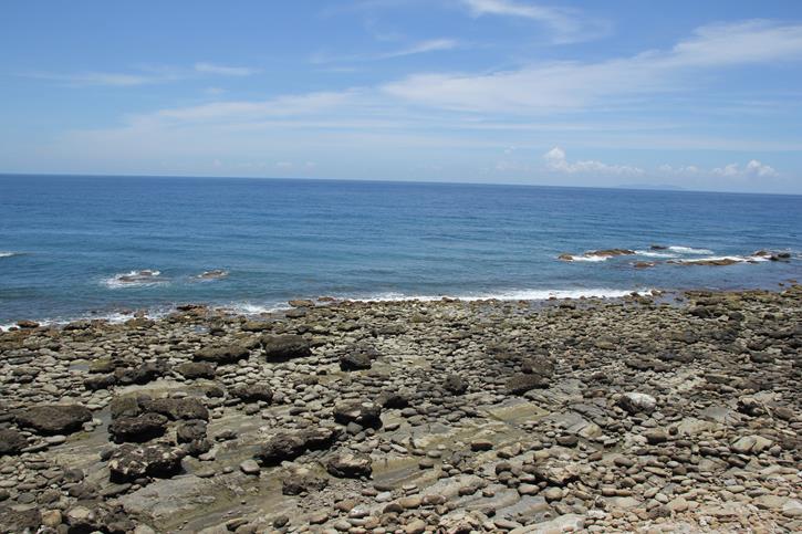 IMG_4655 IMG_4655