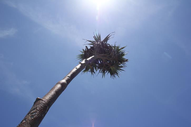 IMG_4700 IMG_4700