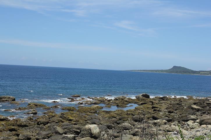 IMG_4729 IMG_4729
