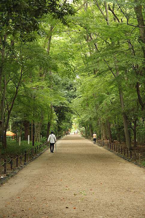 京都 糺之森 夏日清晨的寧靜 25度c的空白 痞客邦