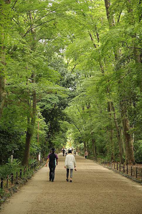 夏日京都的寧靜推薦 19個在京都炎夏的心靈凝視 25度c的空白 痞客邦 夏日京都的寧靜推薦 19個在京都炎夏的心靈凝視 25度c的空白 痞客邦