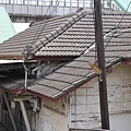 IMG_5461