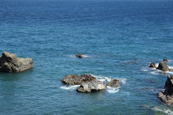 IMG_4947 IMG_4947