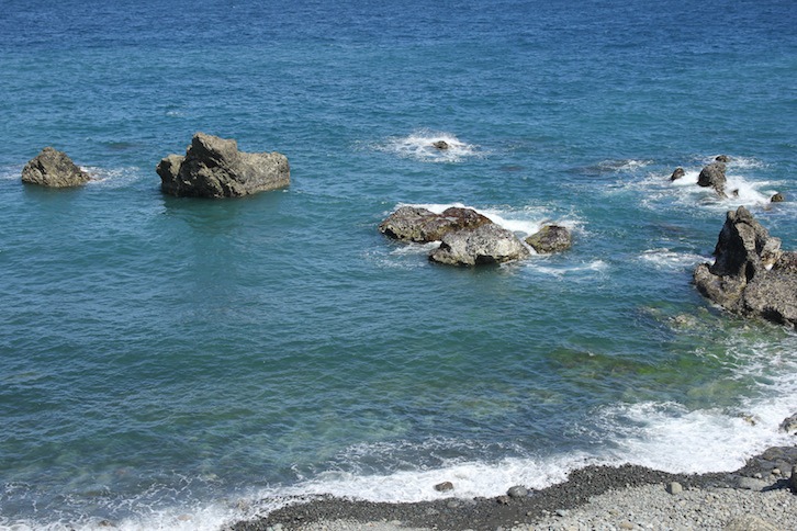 IMG_4959 IMG_4959