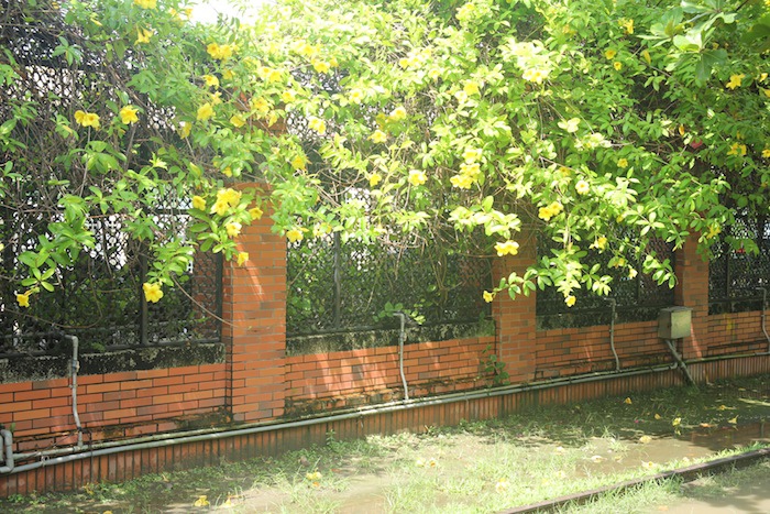IMG_6666 IMG_6666