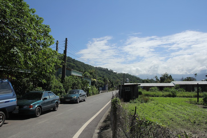 IMG_7995 IMG_7995