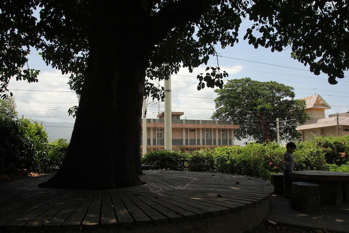 IMG_4315 IMG_4315