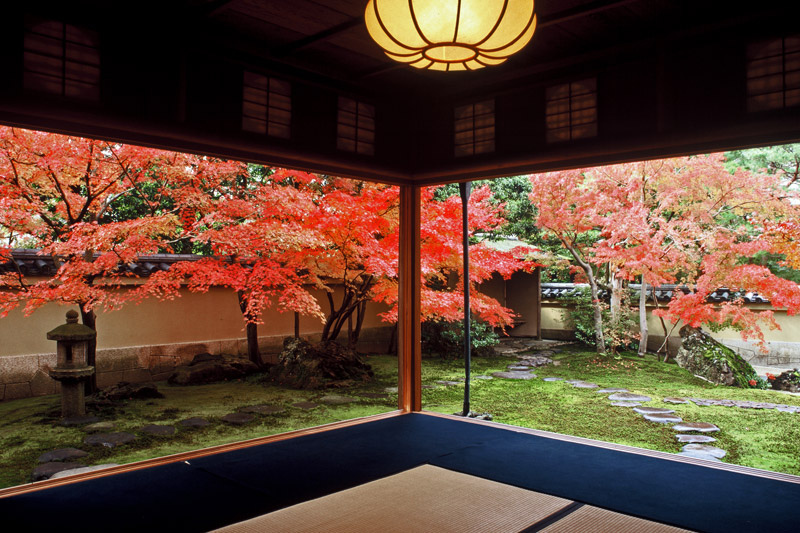 gallery_2_1 gallery_2_1