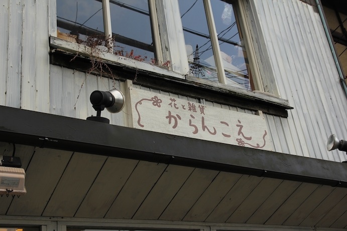 IMG_9560 IMG_9560