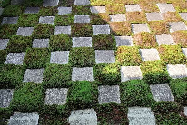 京都 庭院之美 苔的詩意 三千院 祉王寺 龍安寺 銀閣寺 25度c的空白 痞客邦 京都 庭院之美 苔的詩意 三千院 祉王寺 龍安寺 銀閣寺 25度c的空白 痞客邦