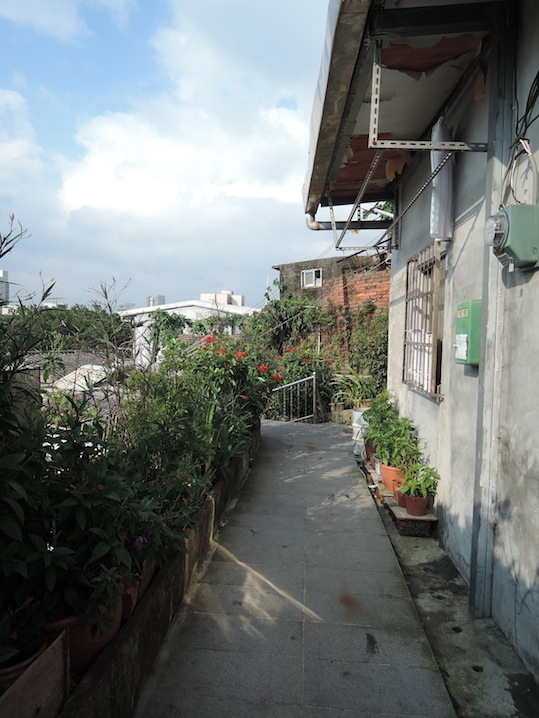 DSCN6111 DSCN6111