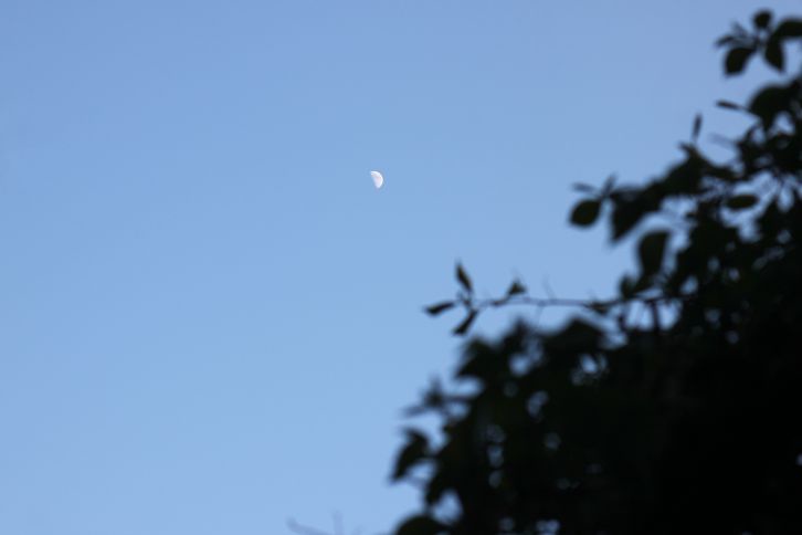 IMG_1449 IMG_1449