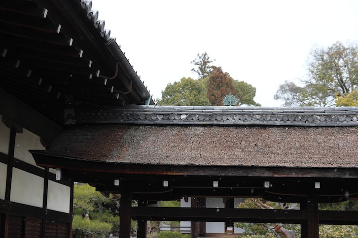 IMG_0465 IMG_0465