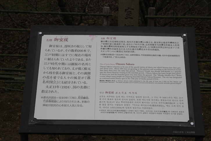 IMG_0551 IMG_0551