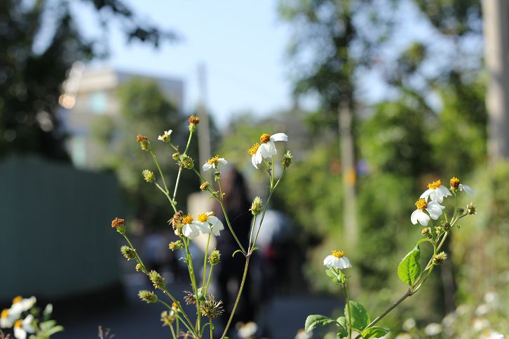 IMG_2855 IMG_2855