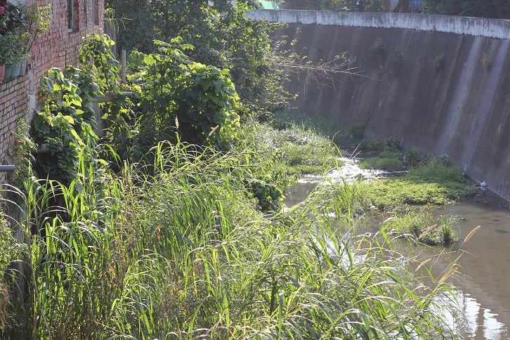 IMG_2914 IMG_2914