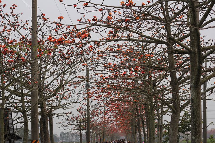 IMG_7203 IMG_7203
