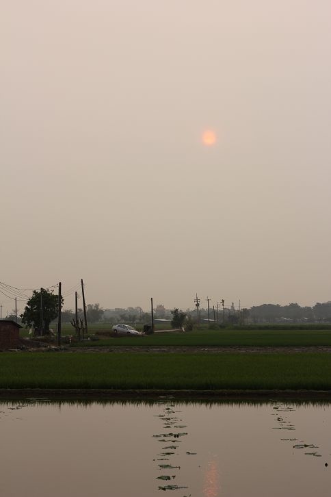IMG_7243 IMG_7243