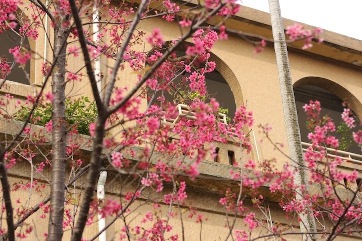 IMG_4404 IMG_4404