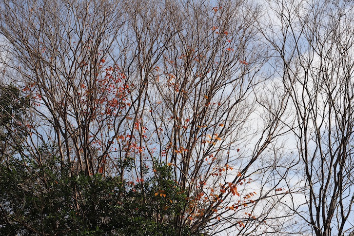 IMG_3441 IMG_3441