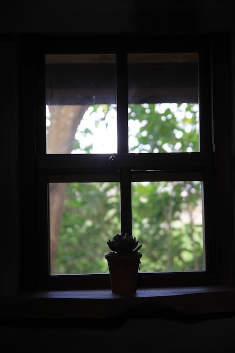 IMG_1626 IMG_1626
