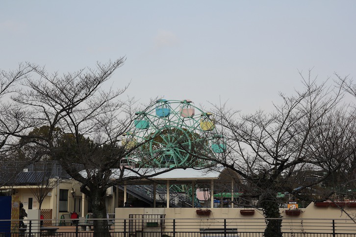 IMG_1225 IMG_1225